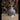 Silver Loti With Spout – silver kalash – My Motifs