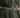 Designer silver waist belt - Danaya by Motifs India